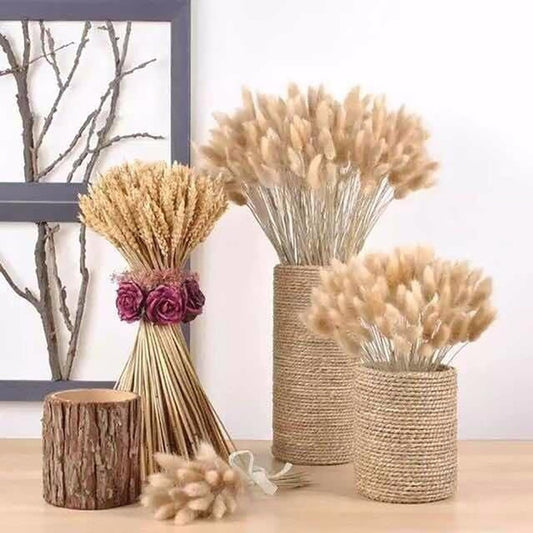 Dried Bunny Rabbit Tail Grass DIY Centerpiece Bouquets